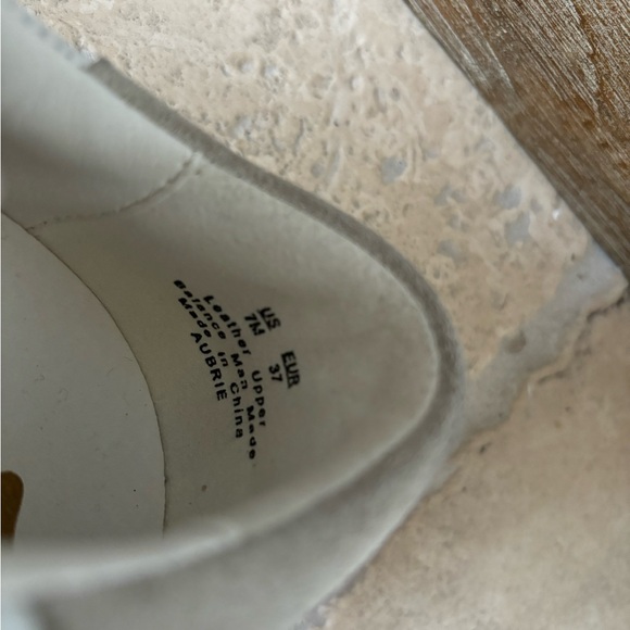 Sam Edelaman - Picture 4 of 4